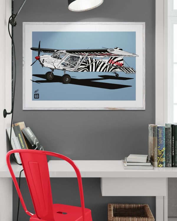 Bush Cat ZU-IMS 2 - Aviation Illustration Print