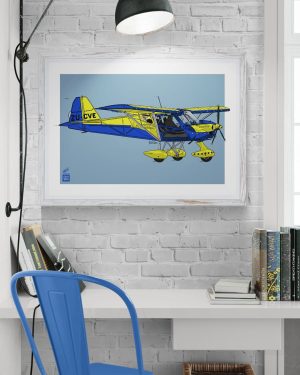 Cheetah ZU-CVE 1 - Exlusive Aviation Print